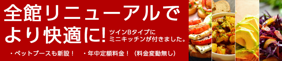 全館リニューアル!ツインBタイプにミニキッチンが付きました